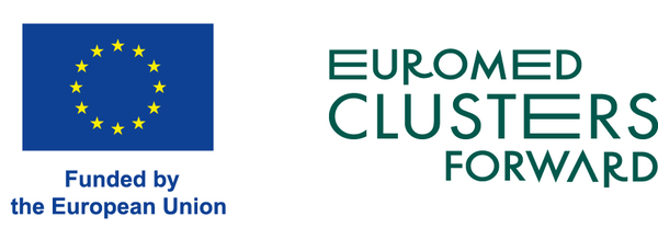 Euromed Clusters Forward